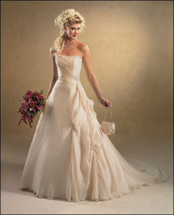 There are many richest designs and styles of bridal gowns available on the
